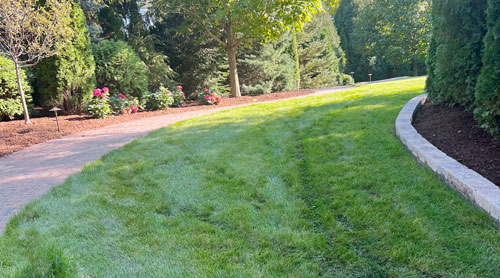 Lawn Care in Racine County WI